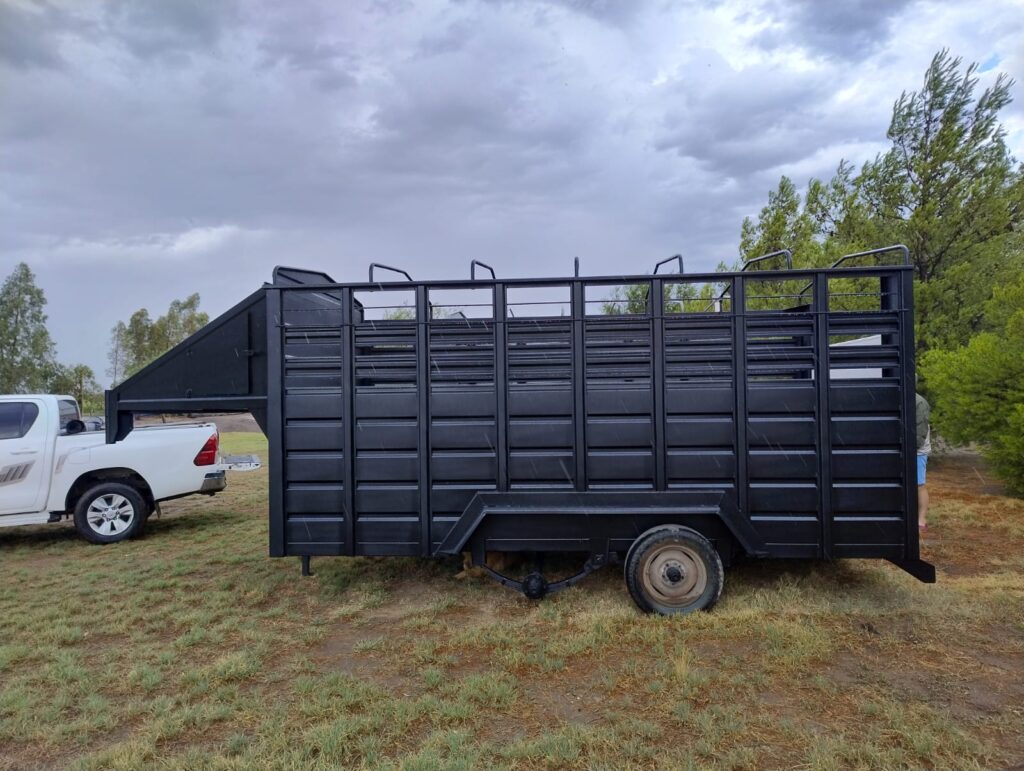 Trailer para caballo