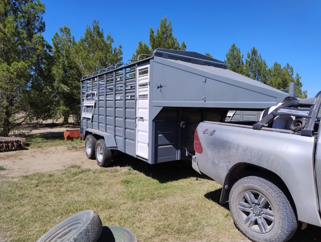 Trailer para caballo