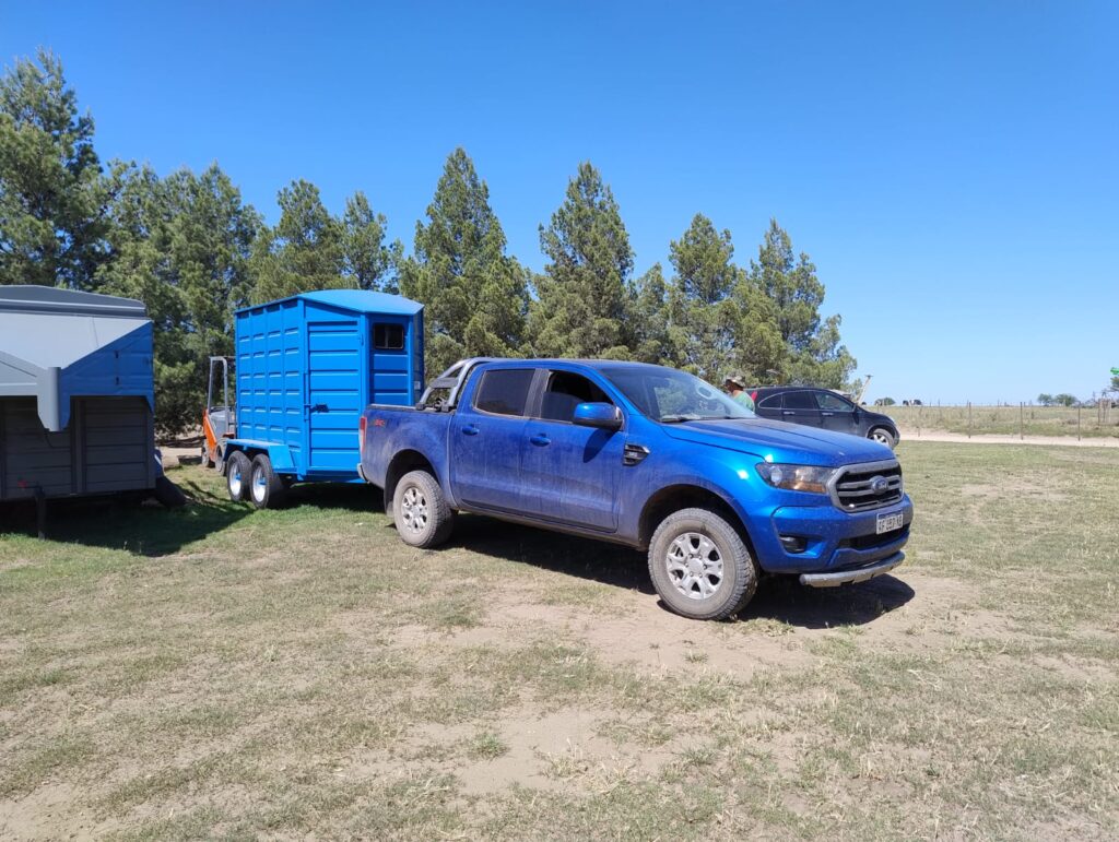 Trailer para caballo